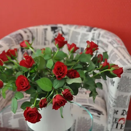 Reetdachhaus Am Bodden Mit Sauna * Fuhlendorf (Mecklenburg-Vorpommern)